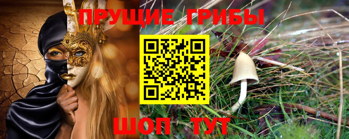Люберцы  Псилоцибиновые грибы Cubensis  Вход с VPN 